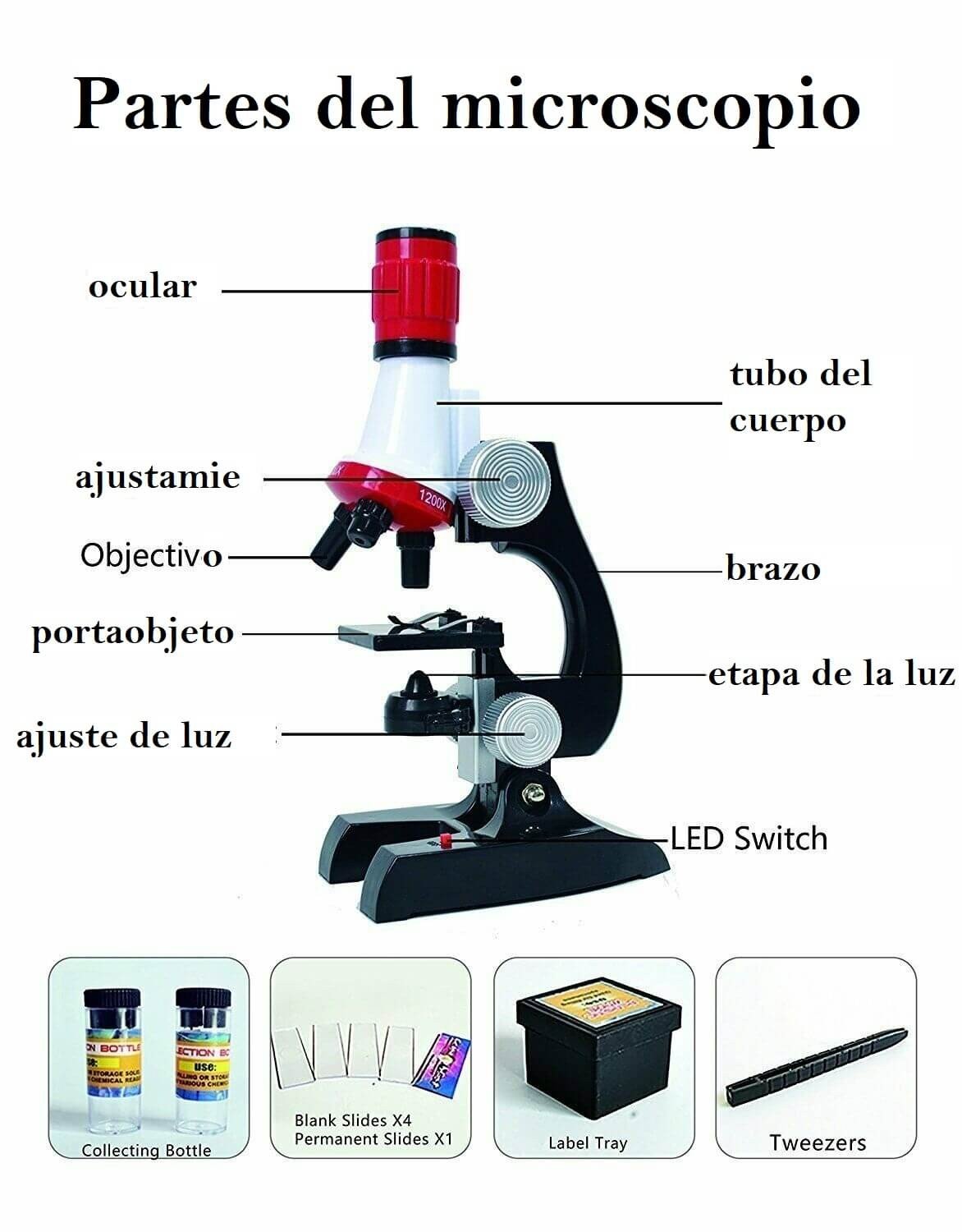 Microscopio para niños 1200x - Image 4